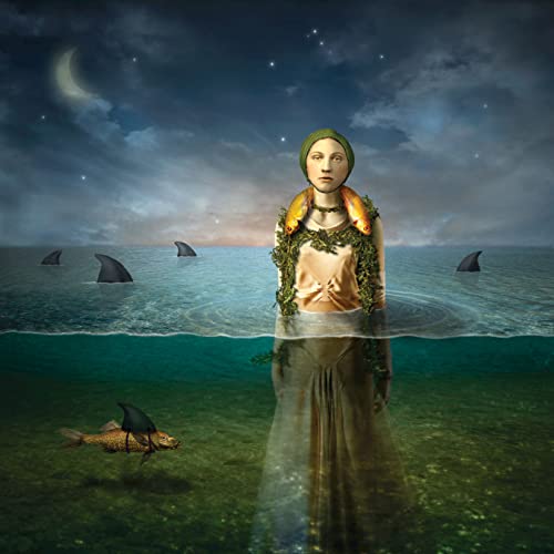 The Bled - Found in the Flood (Limited Edition) (LP) - Joco Records