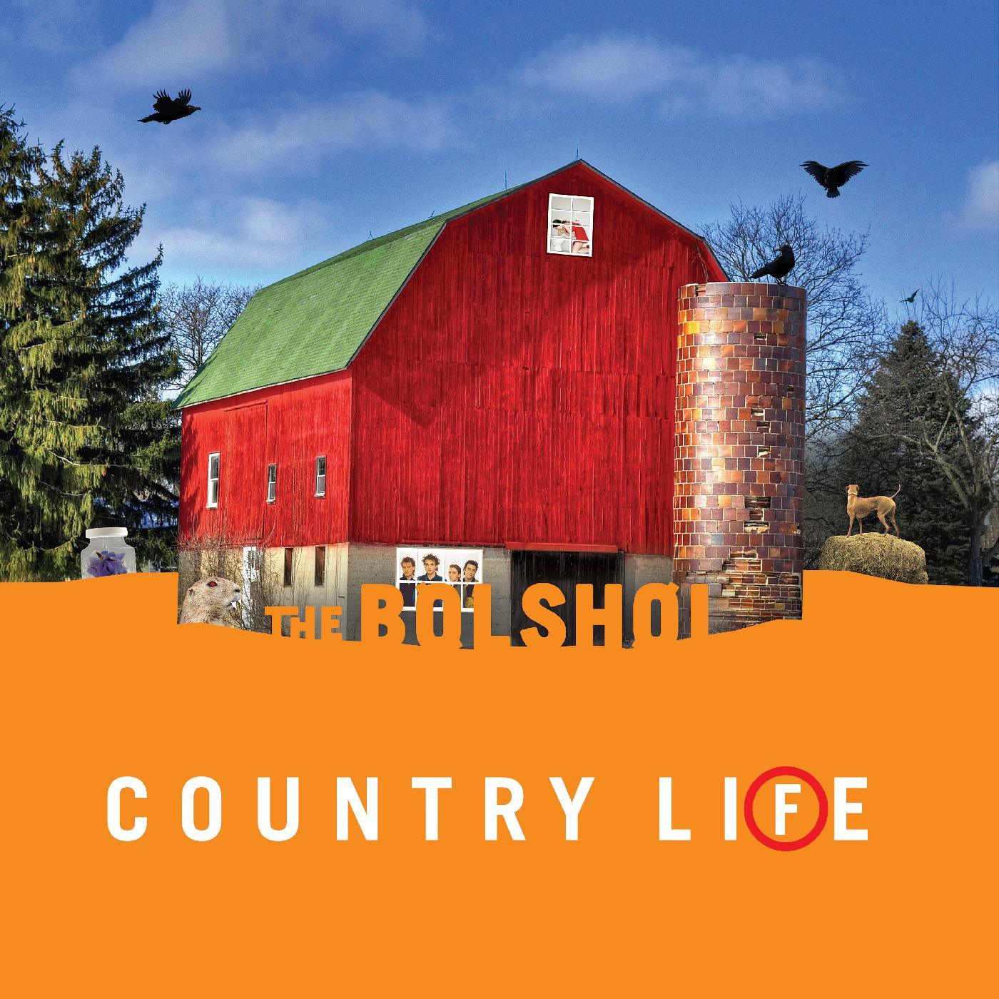 The Bolshoi - Country Life (Green & Orange Vinyl, 2 LP) - Joco Records