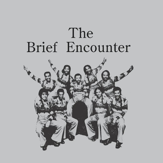 The Brief Encounter - Introducing The Brief Encounter (Smoky Mountain Vinyl) (LP) - Joco Records