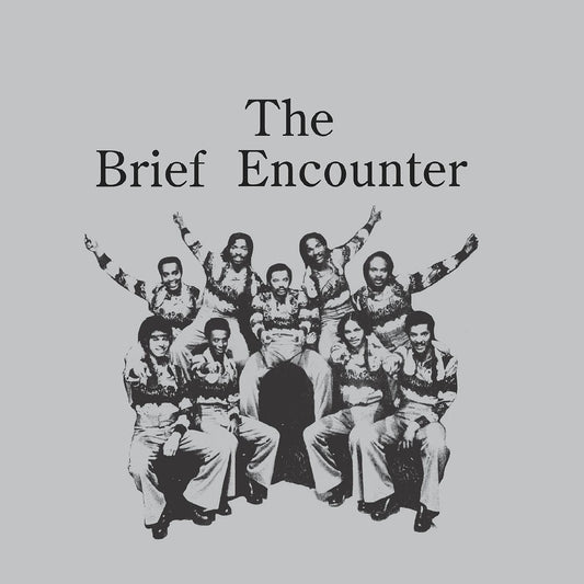 The Brief Encounter - Introducing The Brief Encounter ("Smoky Mountain" Vinyl) - Joco Records