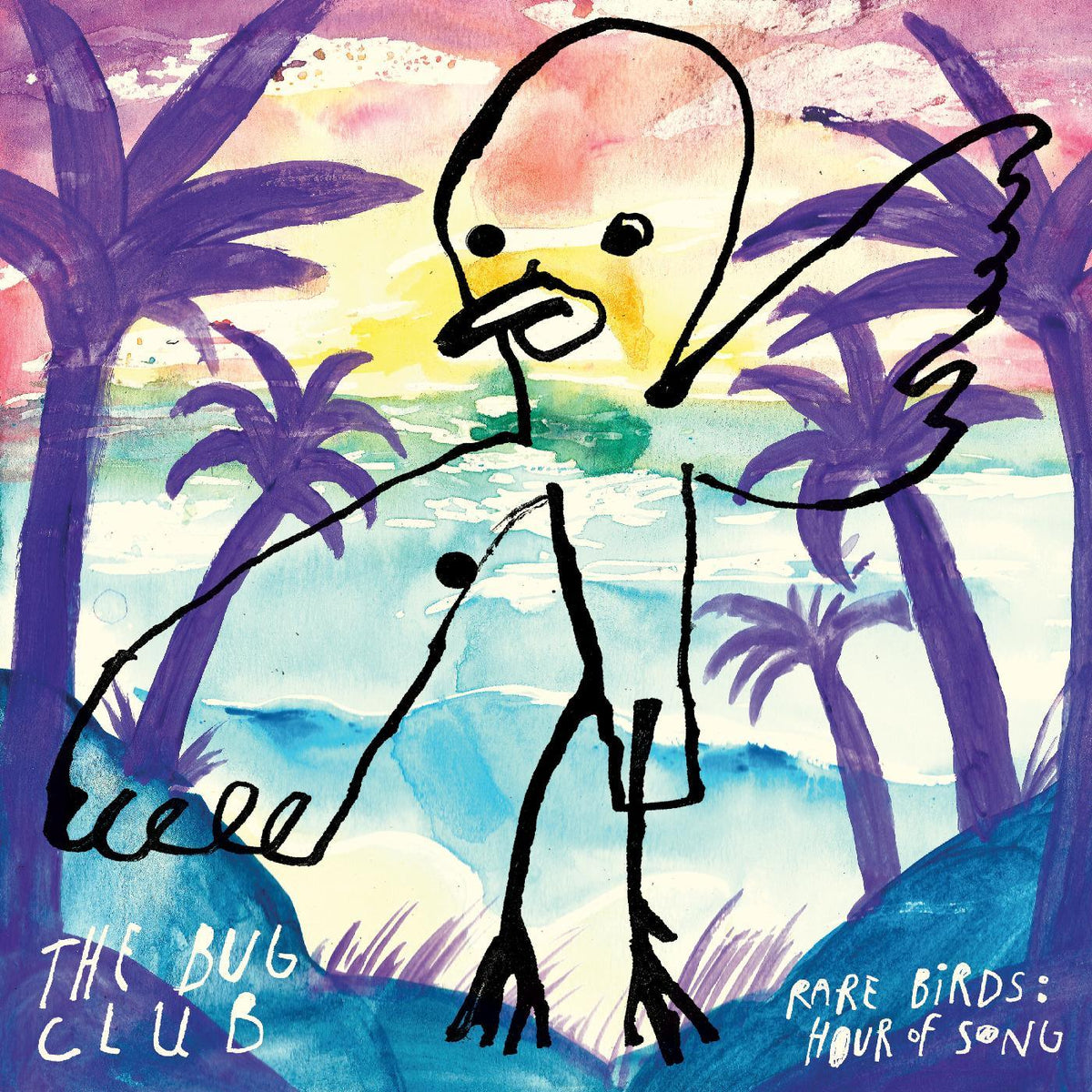 The Bug Club - Rare Birds: Hour Of Song (2 LP) - Joco Records