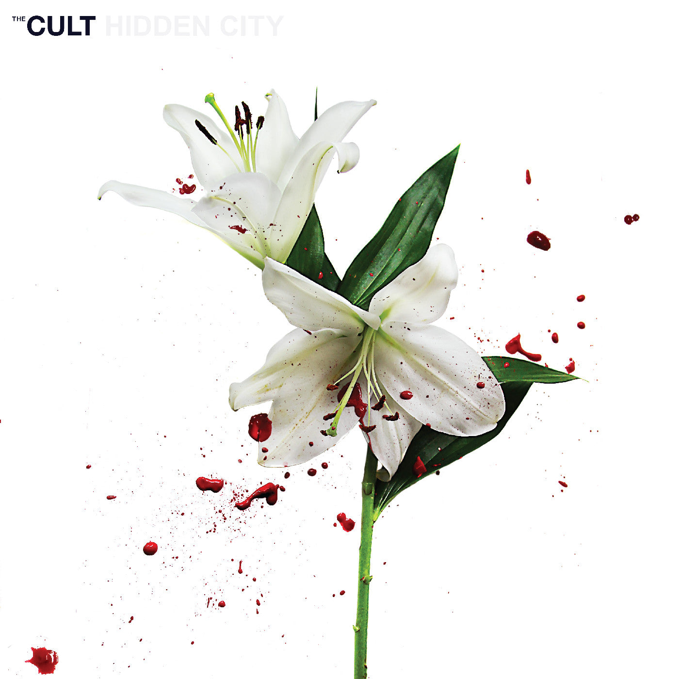 The Cult - Hidden City (Cv 45 Audiophile Edition)
