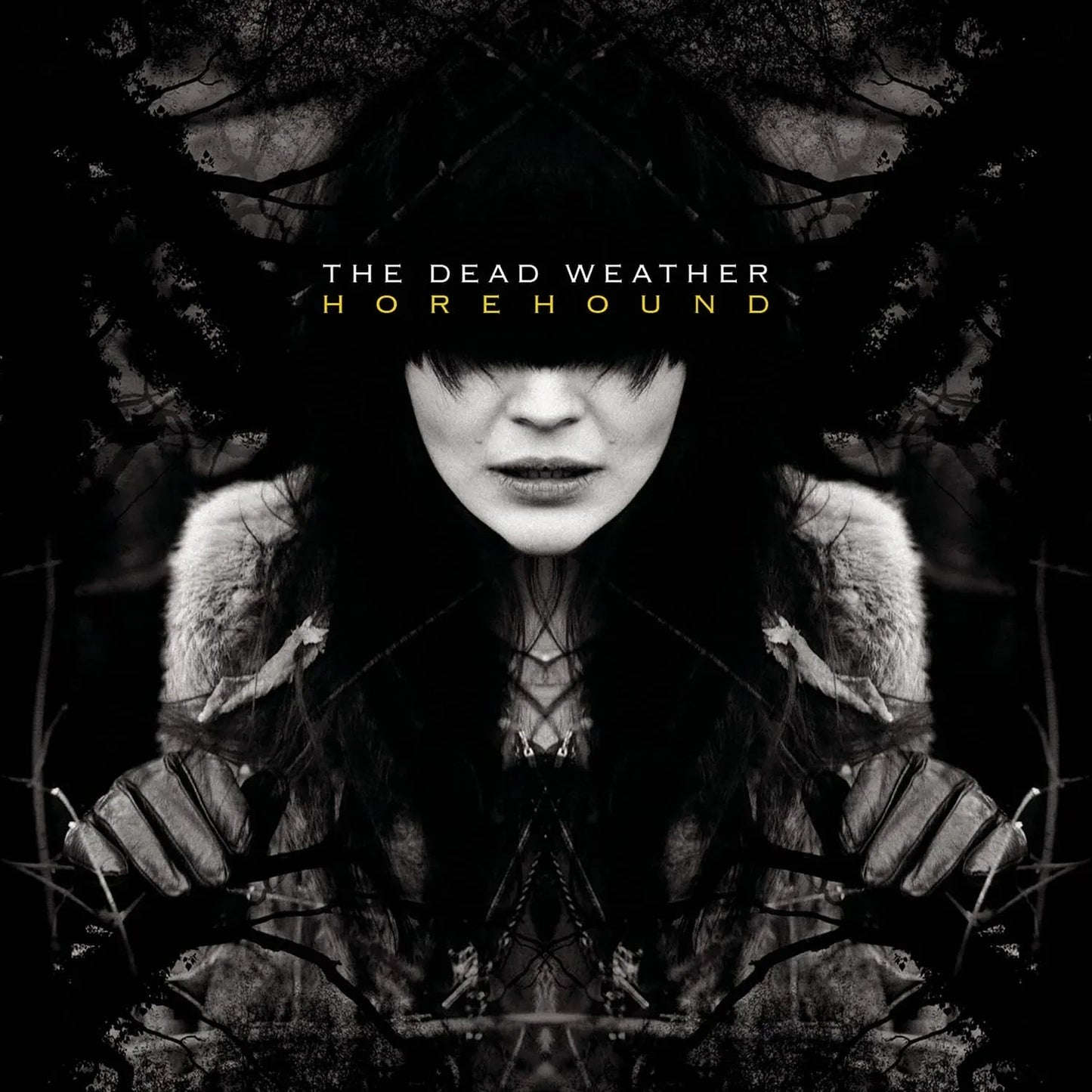 The Dead Weather - Horehound (Explicit, 810 Gram, Etched) (2 LP) - Joco Records