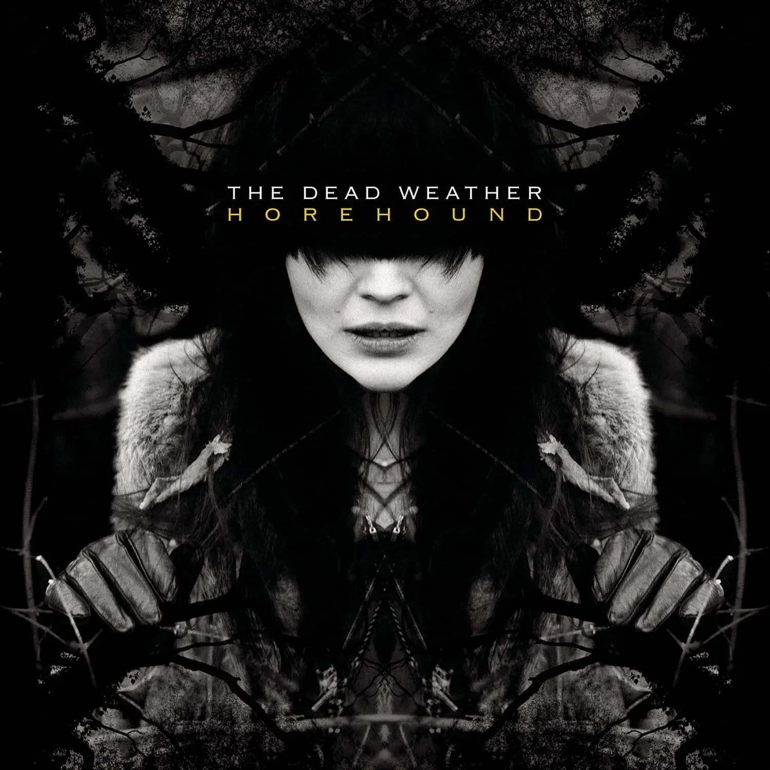 The Dead Weather - Horehound (Explicit, 810 Gram, Etched) (2 LP) - Joco Records