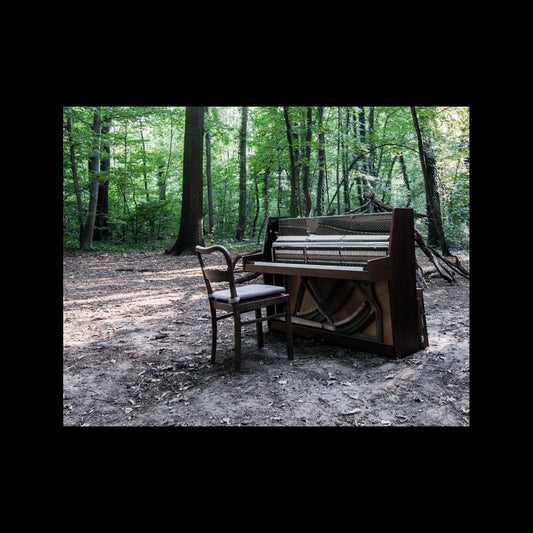 The Eye Of Time - Acoustic Ii (2 LP) - Joco Records