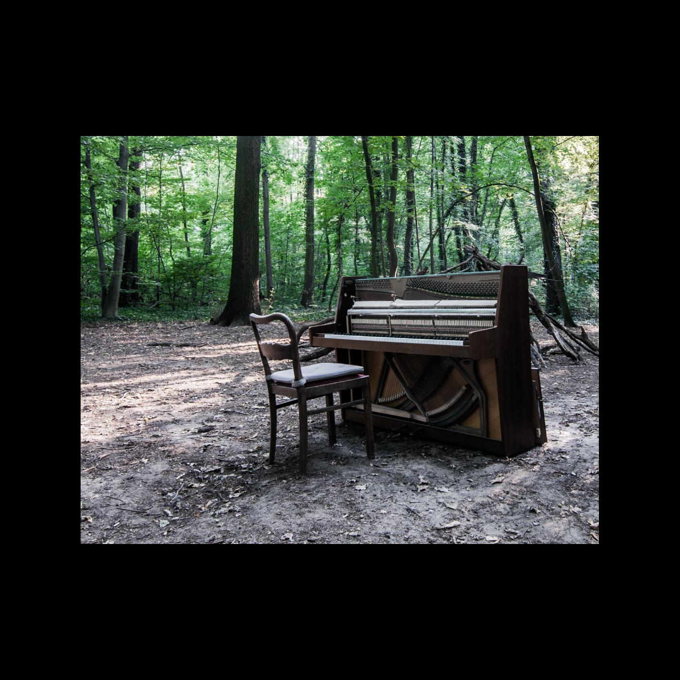 The Eye Of Time - Acoustic Ii (Indie Exclusive, Coke Bottle Green Vinyl)