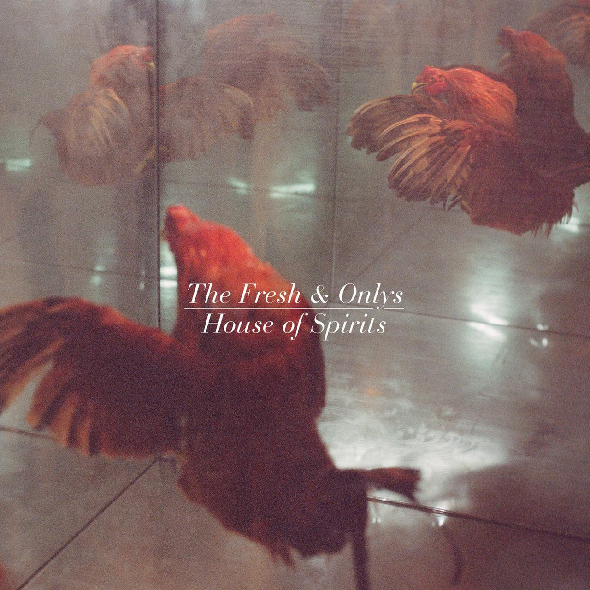 The Fresh & Onlys - House Of Spirits (LP) - Joco Records
