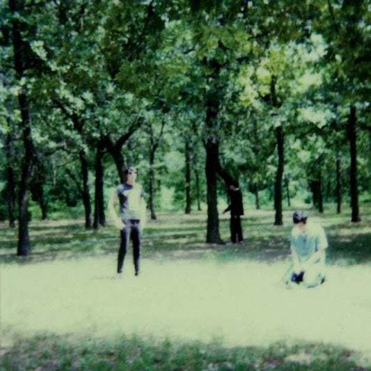 The Fucking Champs - III (2 LP) - Joco Records