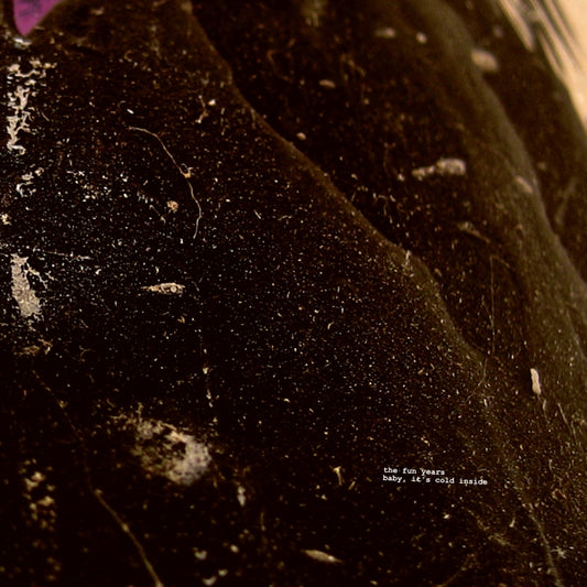 THE FUN YEARS - It's Cold Inside Baby