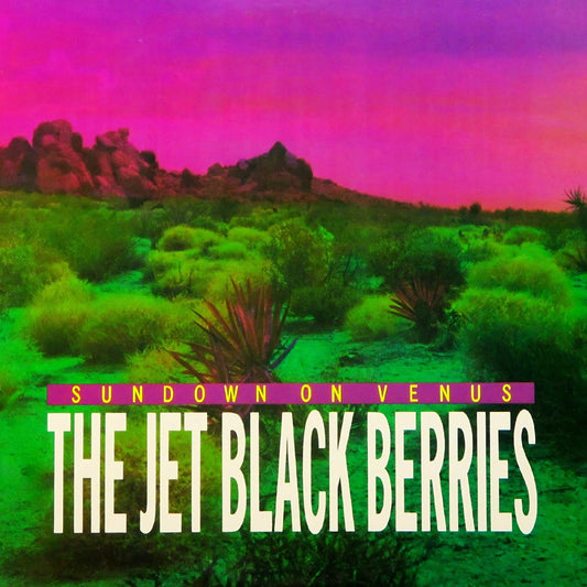 The Jet Black Berries - Sundown On Venus (Definitive Edition) (LP) - Joco Records