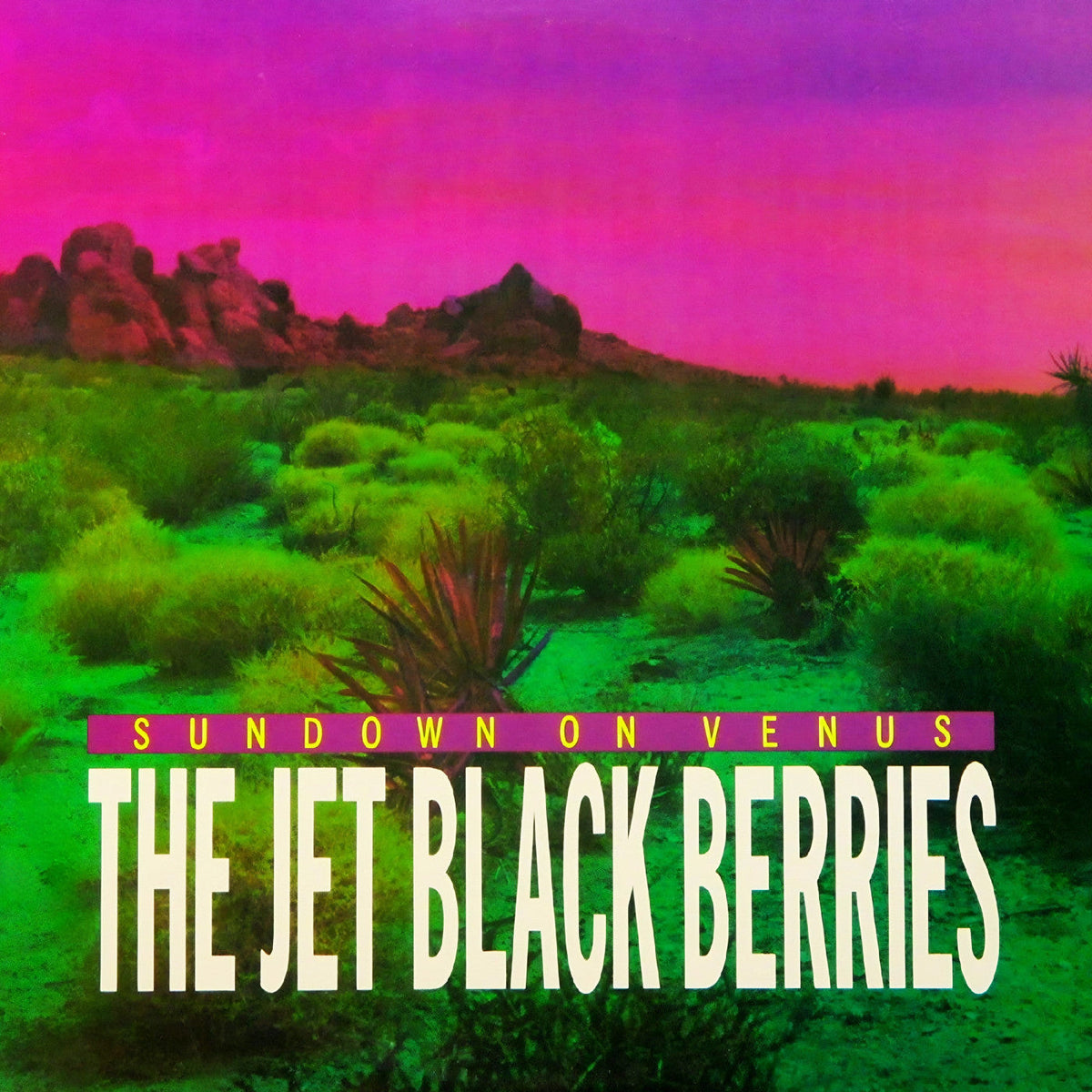 The Jet Black Berries - Sundown On Venus (Definitive Edition)