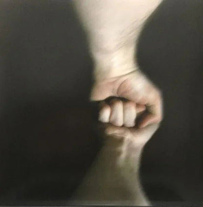 The Mountain Goats - The Sunset Tree (LP) - Joco Records