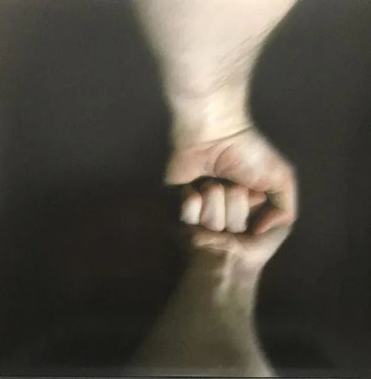 The Mountain Goats - The Sunset Tree (LP) - Joco Records