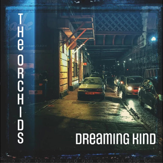 The Orchids - Dreaming Kind (LP) - Joco Records
