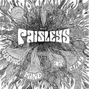 The Paisleys - Cosmic Mind At Play (LP) - Joco Records