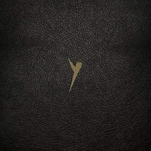 The Pop Group - Y (Definitive Edition) (Vinyl Box Set) - Joco Records