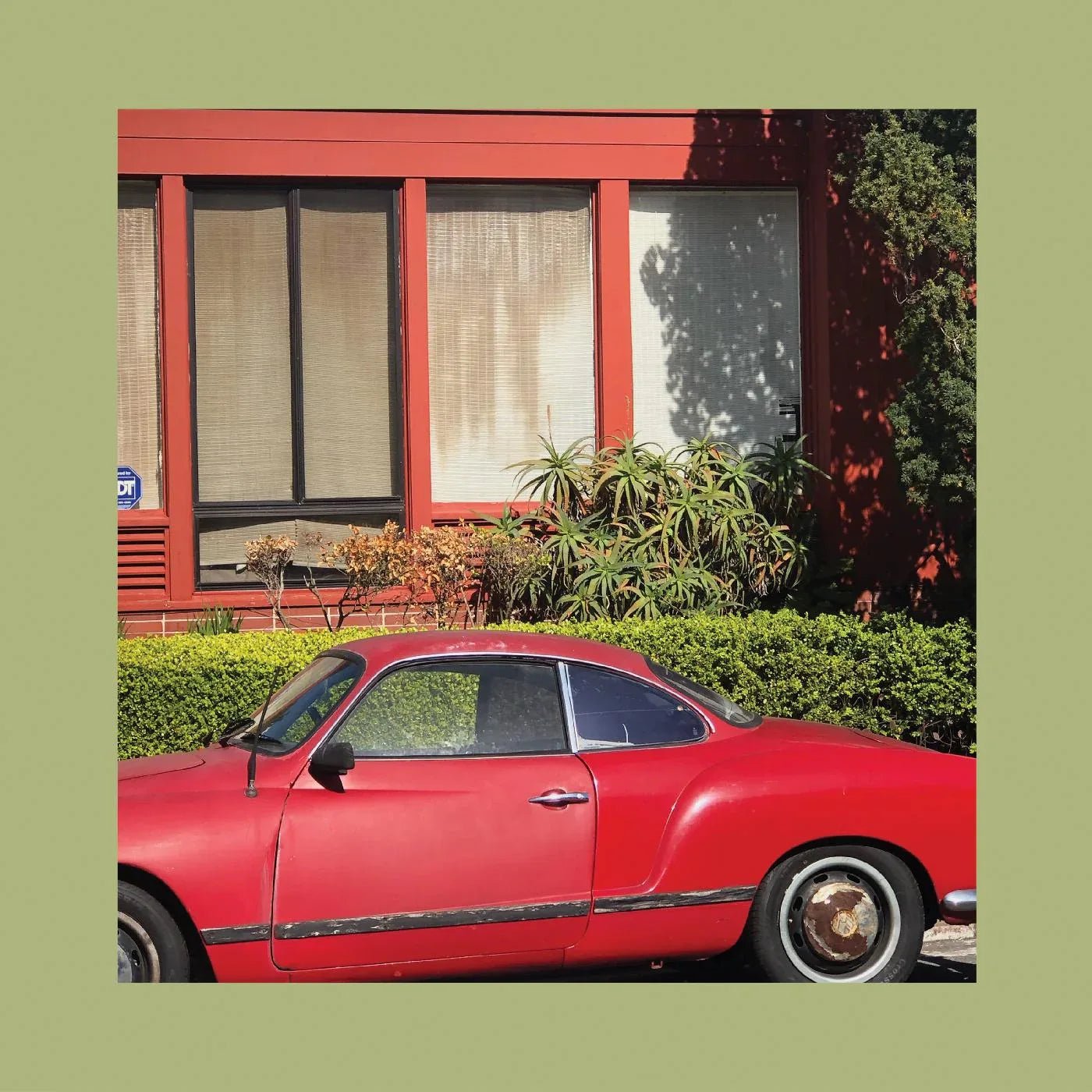 The Reds, Pinks & Purples - The Town That Cursed Your Name (Seaglass Blue Vinyl) - Joco Records