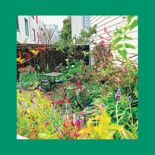 The Reds, Pinks & Purples - Unwishing Well (Nasturtium Orange Vinyl) - Joco Records