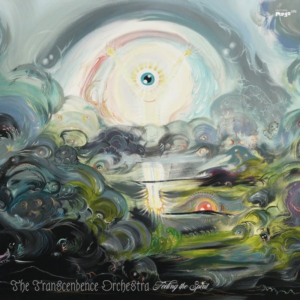 The Transcendence Orchestra - Feeling The Spirit (2 LP) - Joco Records