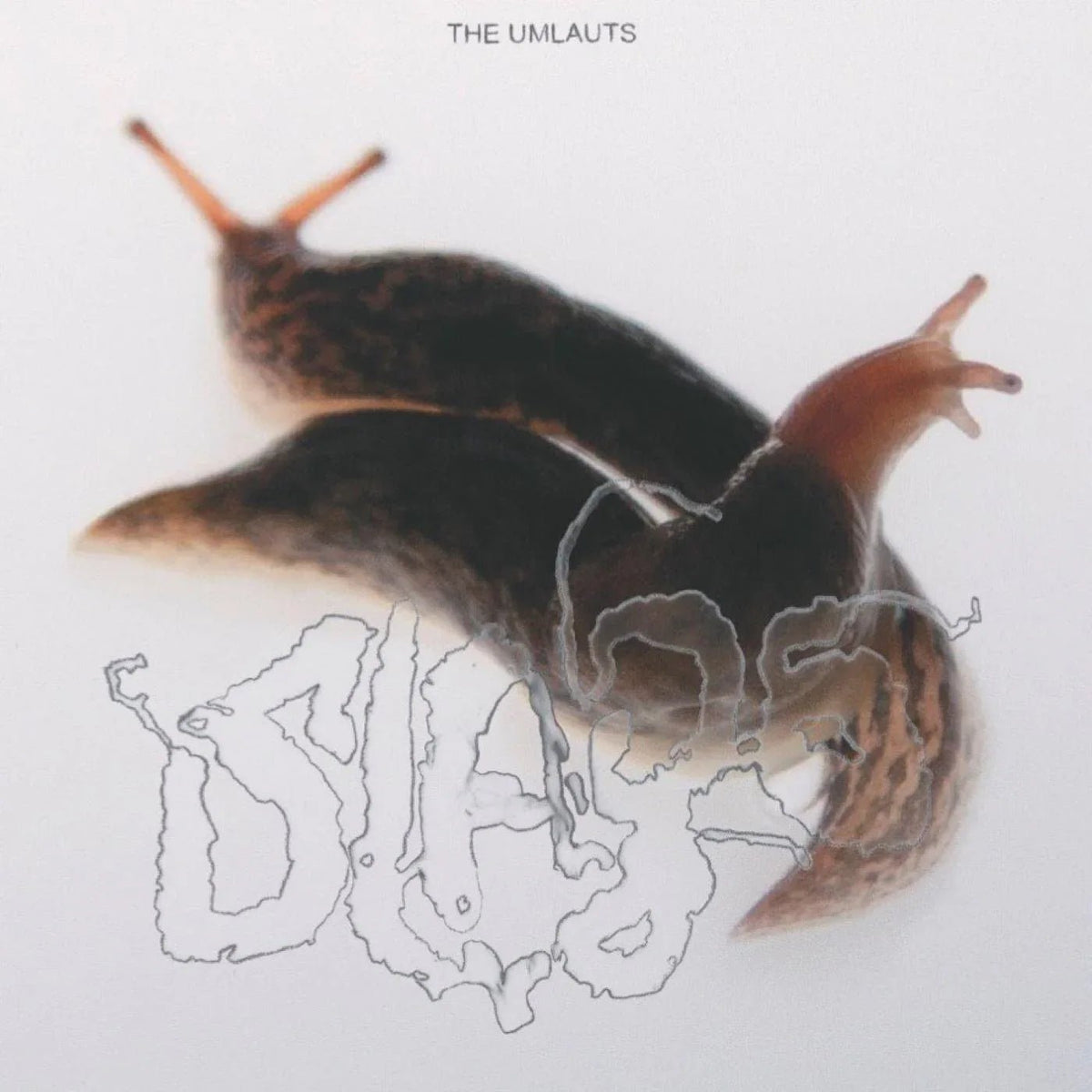 The Umlauts - Slags (LP) - Joco Records