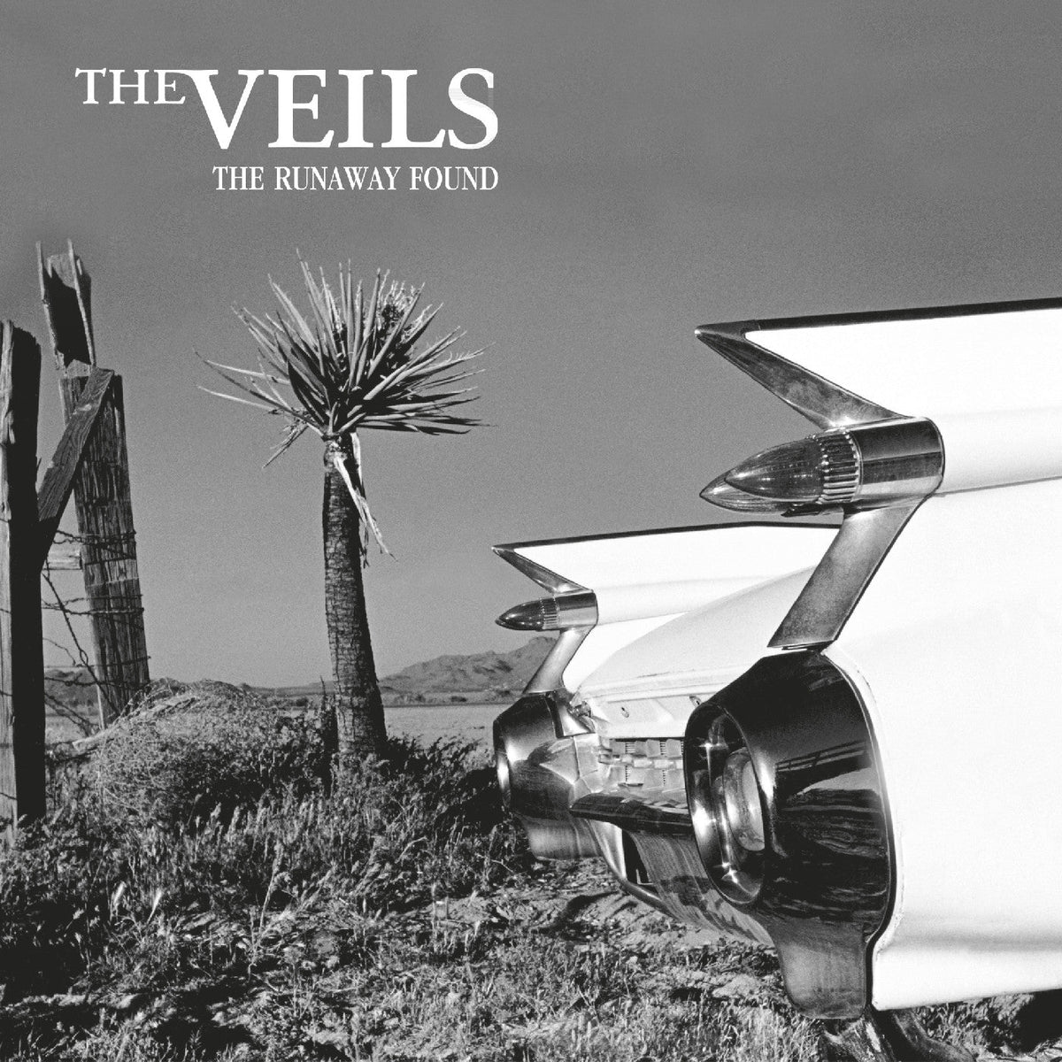 THE VEILS - The Runaway Found