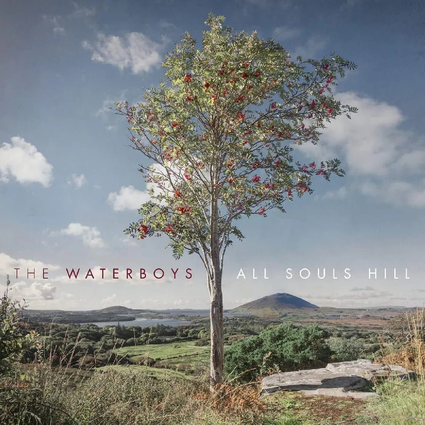 The Waterboys - All Souls Hill (LP) - Joco Records