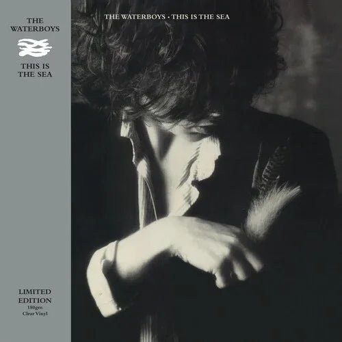 The Waterboys - This Is The Sea (Clear Vinyl, Limited Edition) (LP) - Joco Records