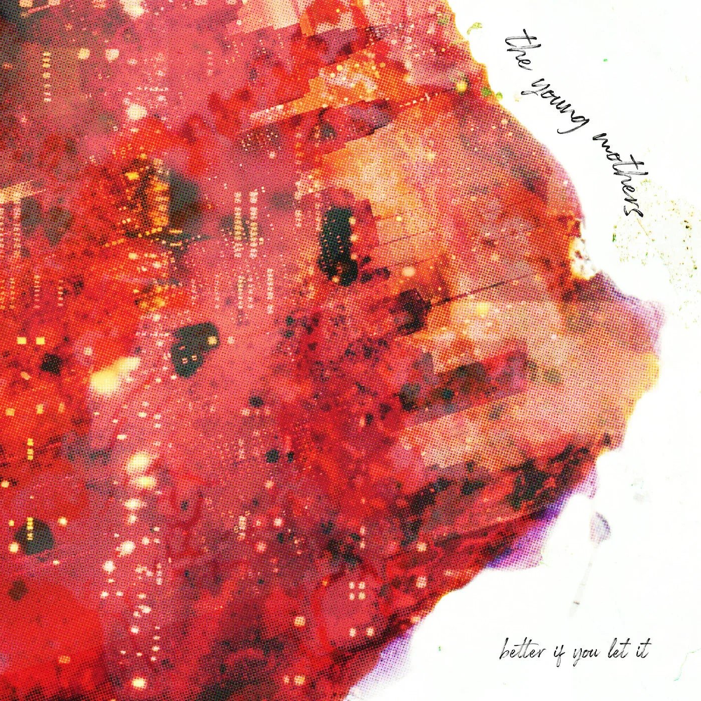 The Young Mothers - Better If You Let It (LP) - Joco Records