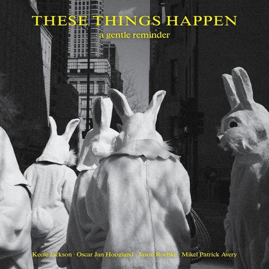 These Things Happen - A Gentle Reminder (LP) - Joco Records