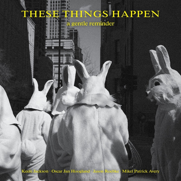 These Things Happen - A Gentle Reminder (LP)