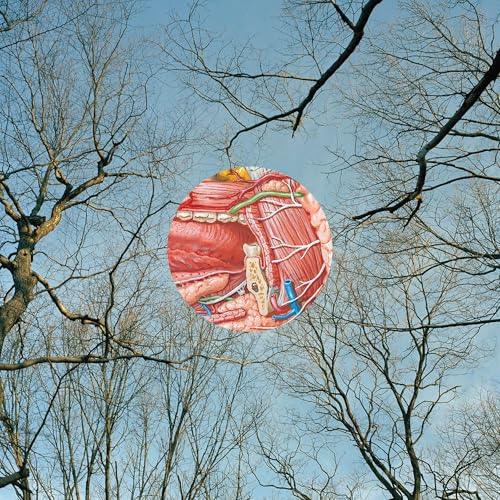 They Might Be Giants - Glean (Vinyl) - Joco Records