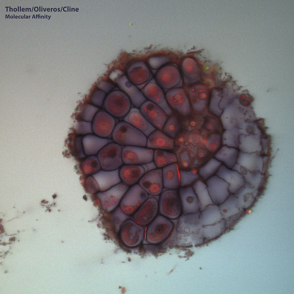 THOLLEM MCDONAS/PAULINE OLVEROS/NELS CLINE - Molecular Affinity