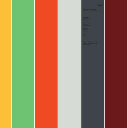 Thomas Brinkmann - What You Hear (Is What You Hear) (2 LP) - Joco Records
