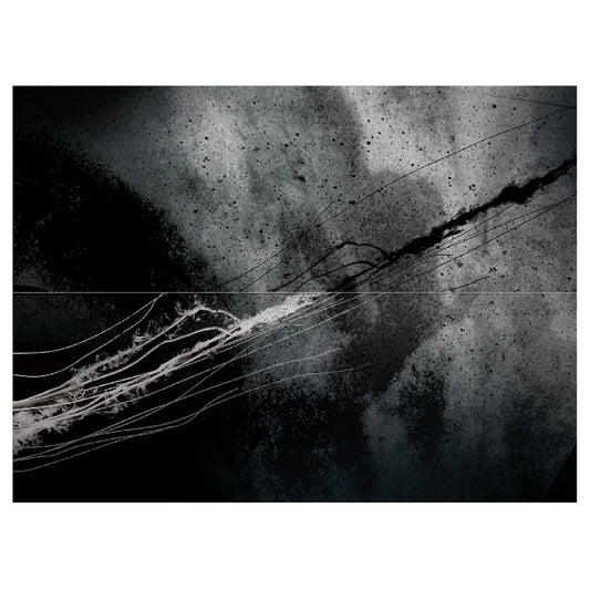 Throw Down Bones - Two (LP) - Joco Records