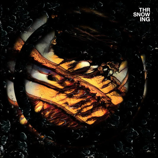 Throwing Snow - Dragons (Marbled Orange Vinyl) (LP) - Joco Records