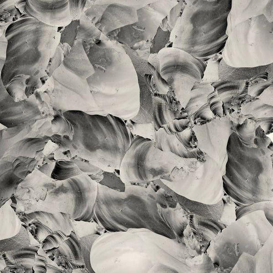 Thrupence - Ideas Of Aesthetics (LP) - Joco Records