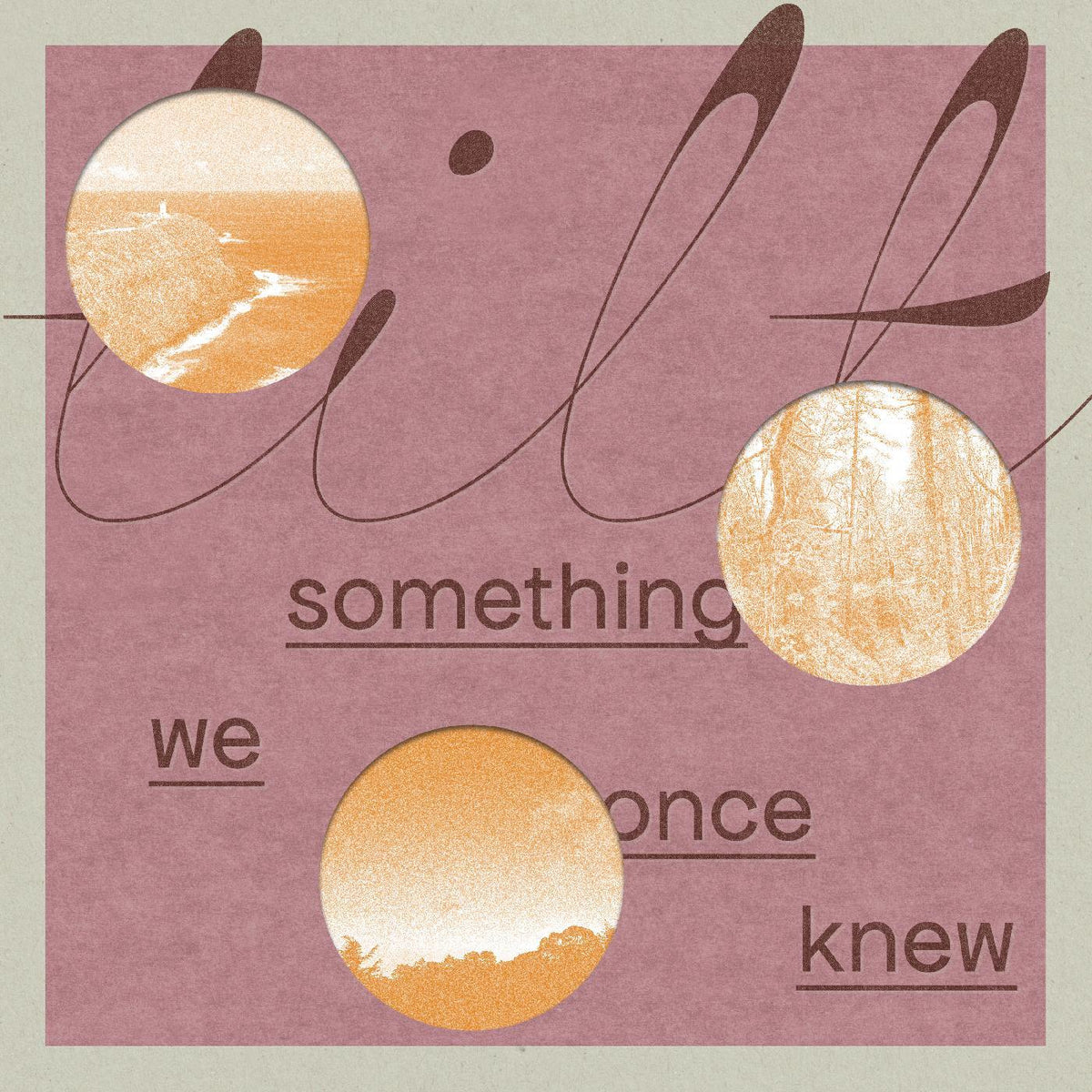 Tilt - Something We Once Knew (LP) - Joco Records