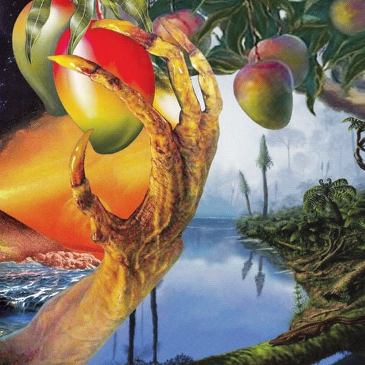 Timelash - A Morphology Of Wonders (2 LP) - Joco Records