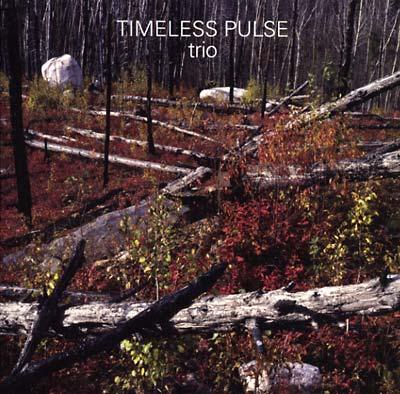Timeless Pulse - Trio (2 LP) - Joco Records