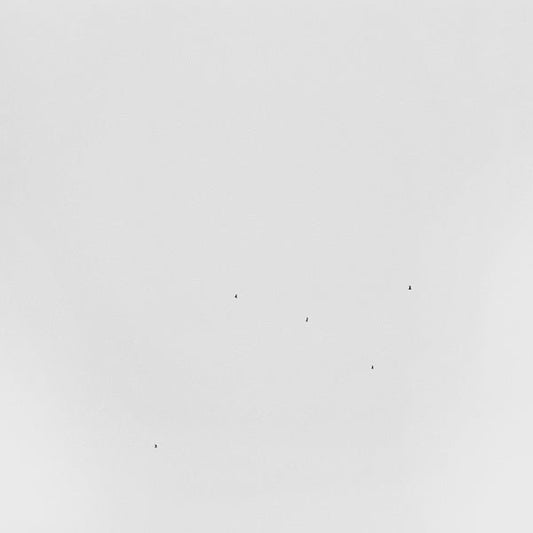 Todd Anderson - Kunert - Conjectures (Lp) - Joco Records