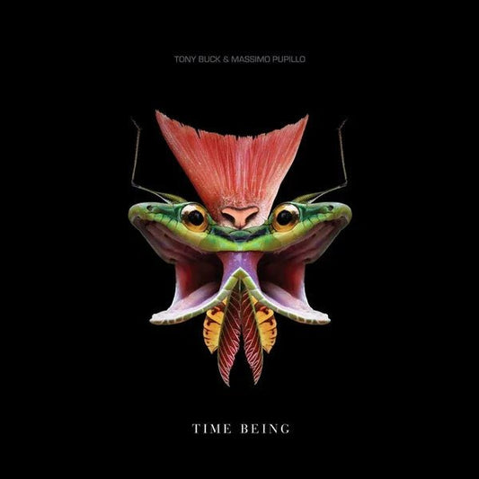 Tony Buck & Massimo Pupillo - Time Being (LP) - Joco Records