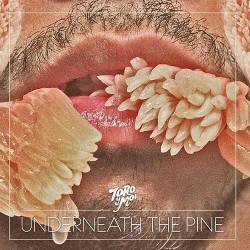 Toro Y Moi - Underneath The Pine (Color Vinyl) (LP) - Joco Records