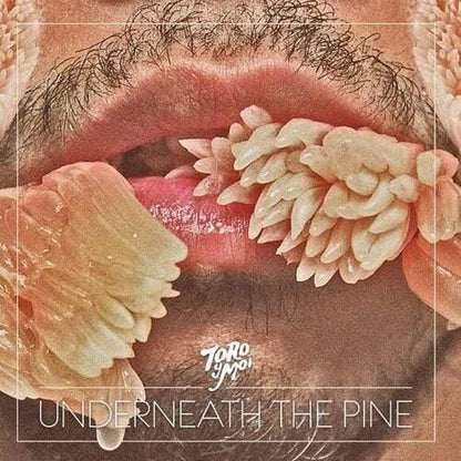 Toro Y Moi - Underneath The Pine (Color Vinyl) (LP) - Joco Records