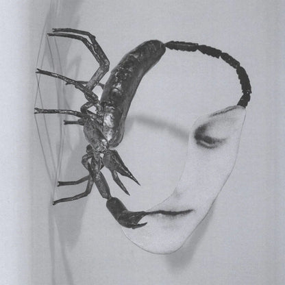 Tortoise - Touch (140 Gram Black Vinyl) - Joco Records