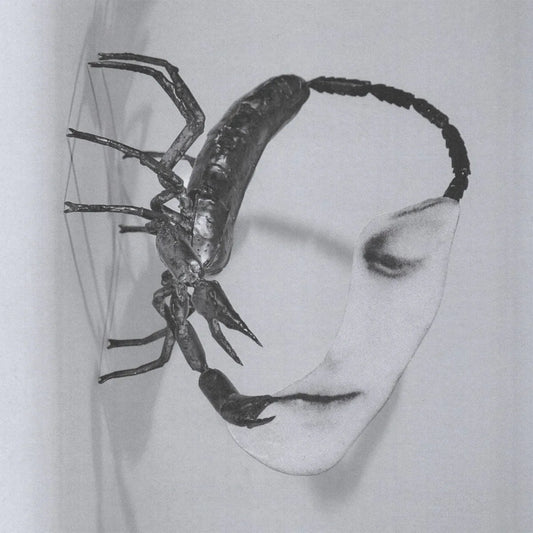 Tortoise - Touch (140 Gram Black Vinyl) - Joco Records
