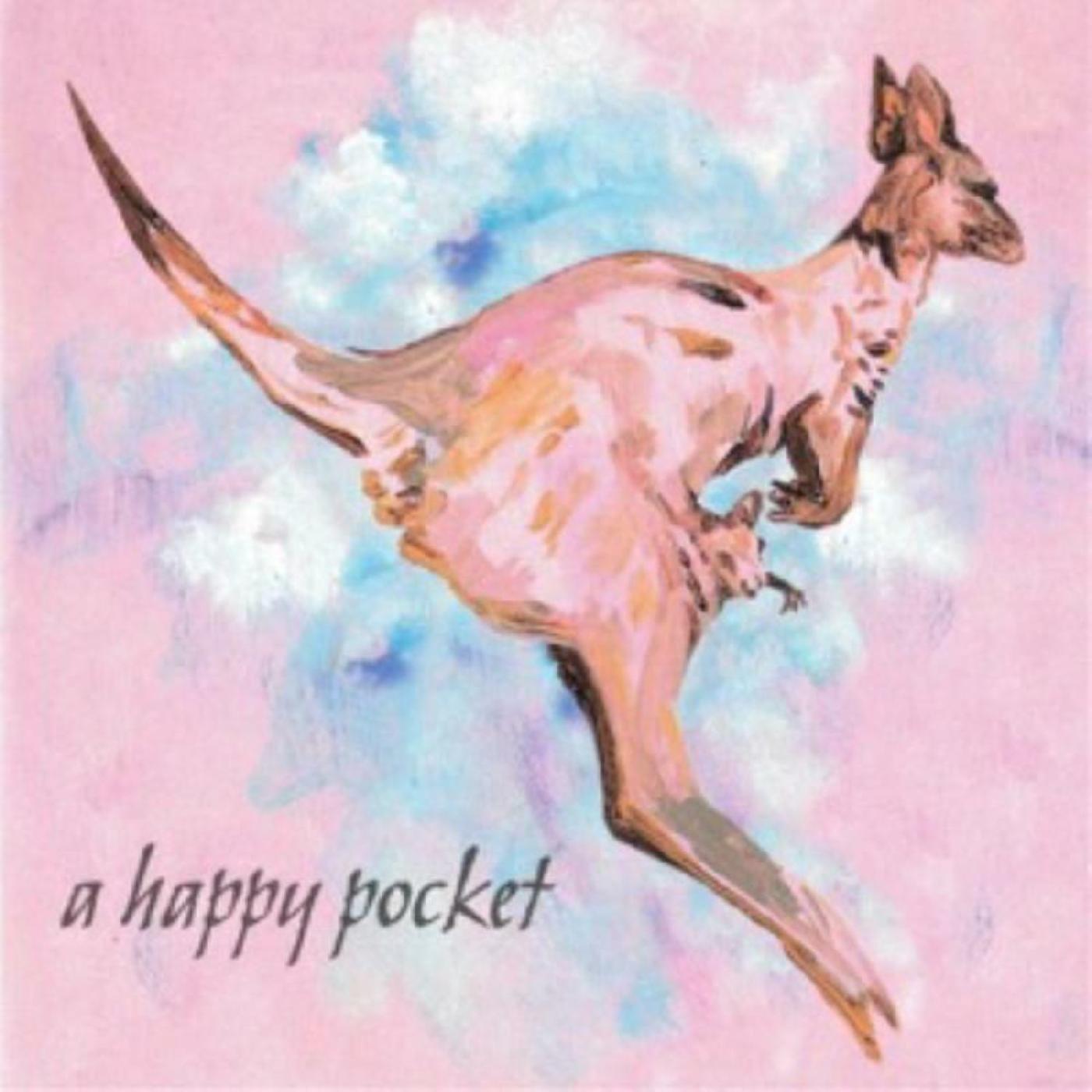 Trashcan Sinatras - A Happy Pocket (Pink Vinyl) - Joco Records