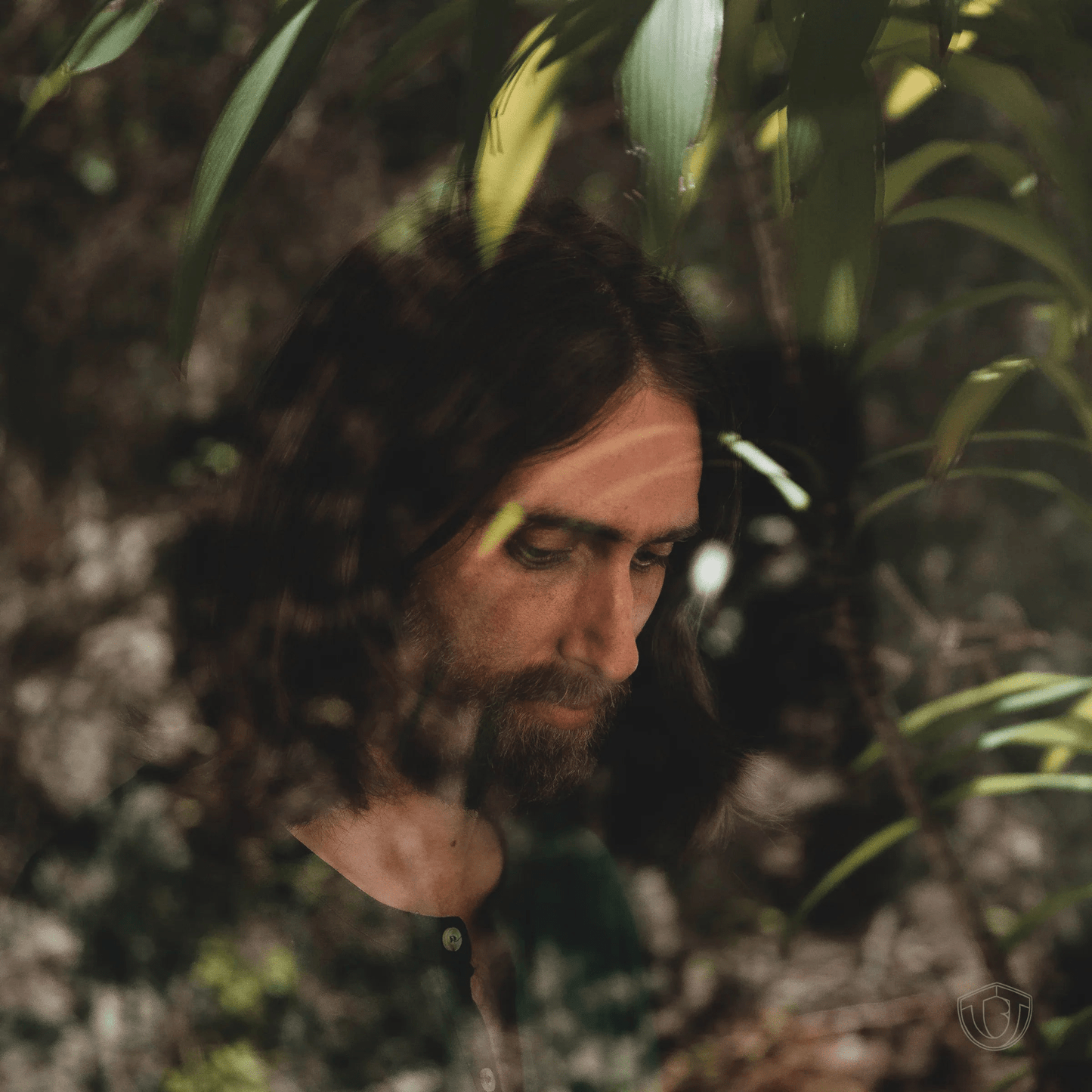 Trevor Beld Jimenez - I Like It Here (LP) - Joco Records