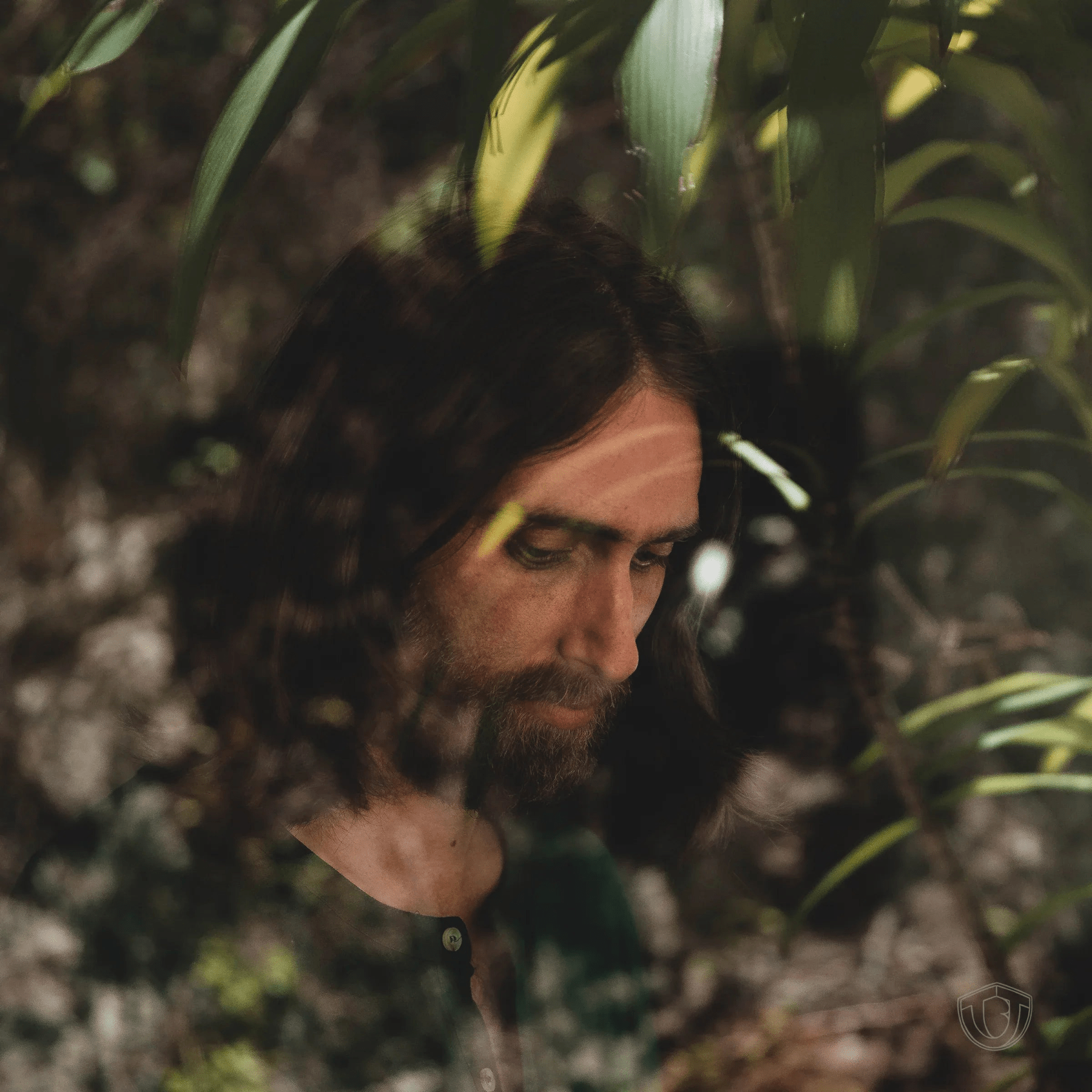 Trevor Beld Jimenez - I Like It Here (LP) - Joco Records