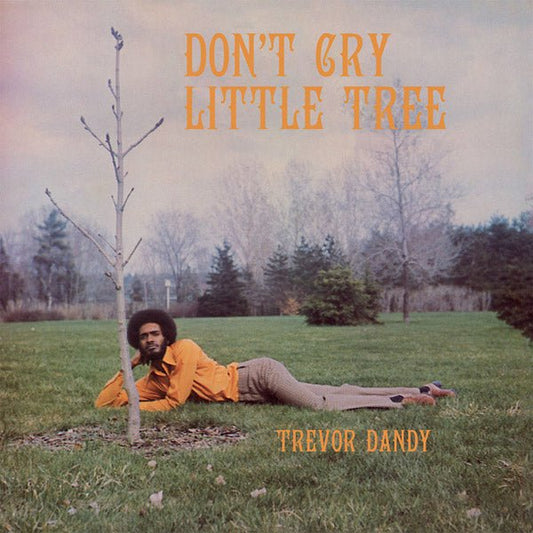 Trevor Dandy - Don't Cry Little Tree (LP) - Joco Records