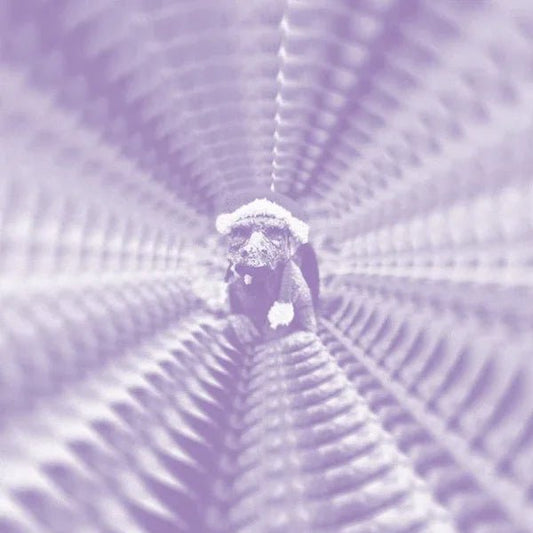 Troposphere 7 - To Keyi Toko Zonga (LP) - Joco Records